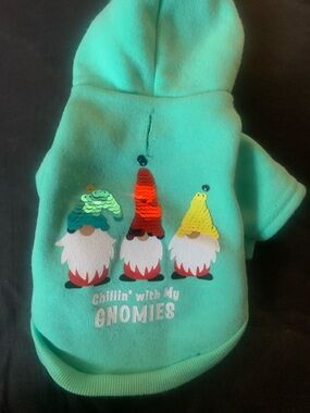 Mint Green Pet Hoodie with Sequin Gnomes